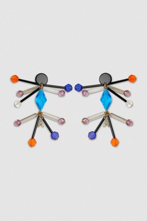 Patrizia Pepe Earrings With Techno Pop Fly Appliqué Renkli | OEY173952